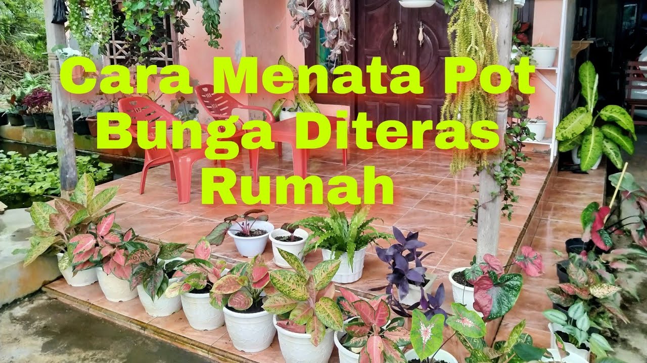 Detail Cara Menata Bunga Di Depan Rumah Nomer 40