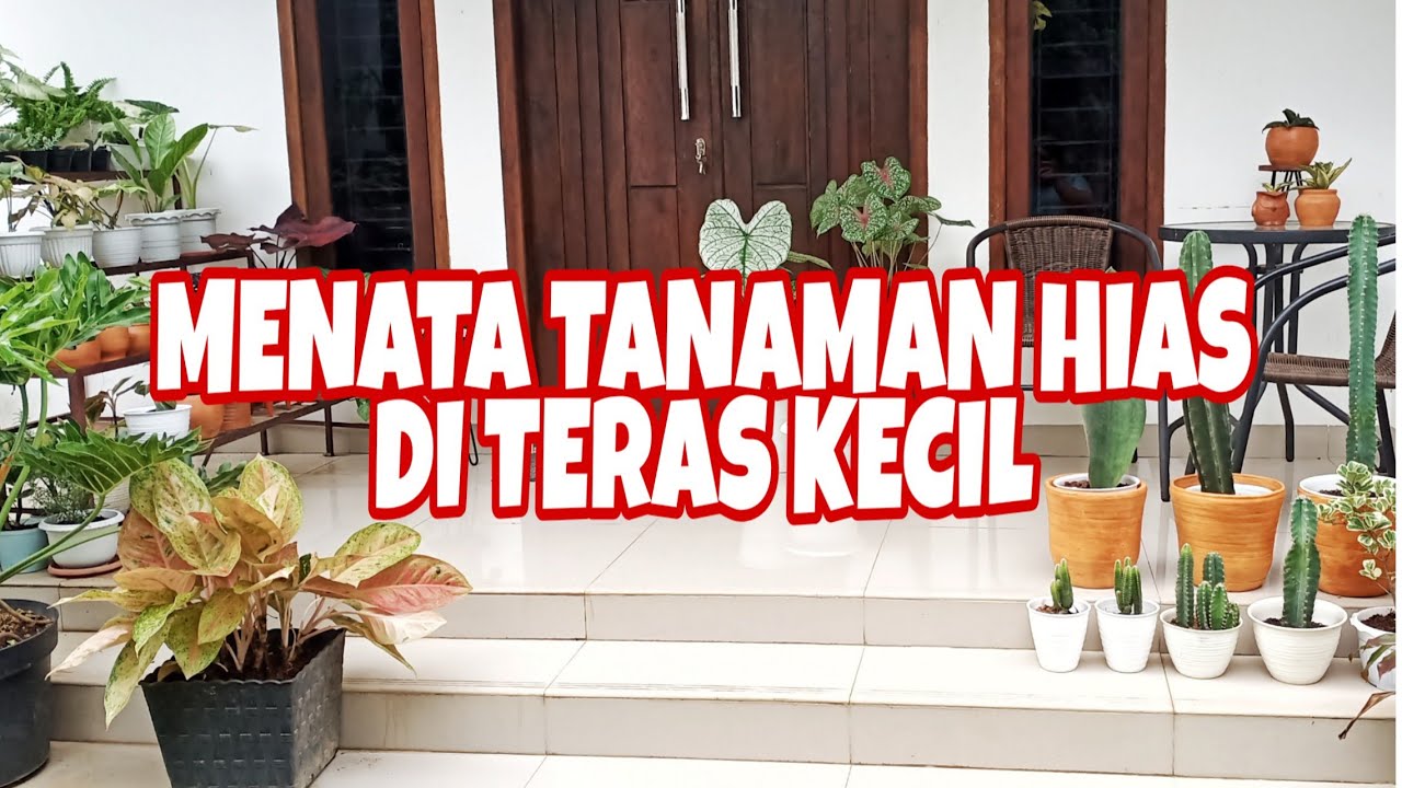 Detail Cara Menata Bunga Di Teras Rumah Sederhana Nomer 14