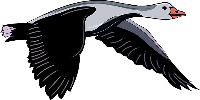 Detail Fliegende Gans Nomer 2