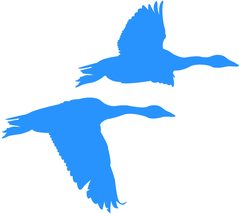 Detail Fliegende Gans Nomer 5