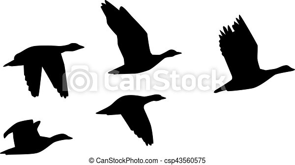 Detail Fliegende Gans Nomer 7