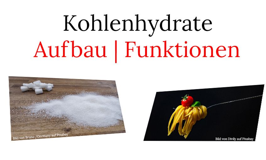 Detail Kohlenhydrate Bilder Nomer 11
