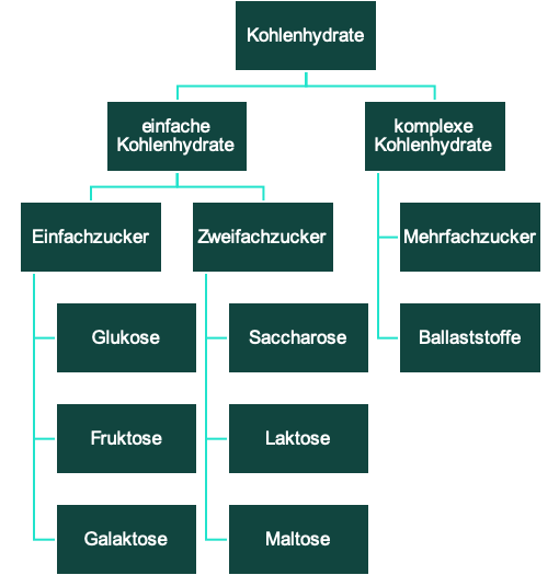 Detail Kohlenhydrate Bilder Nomer 8