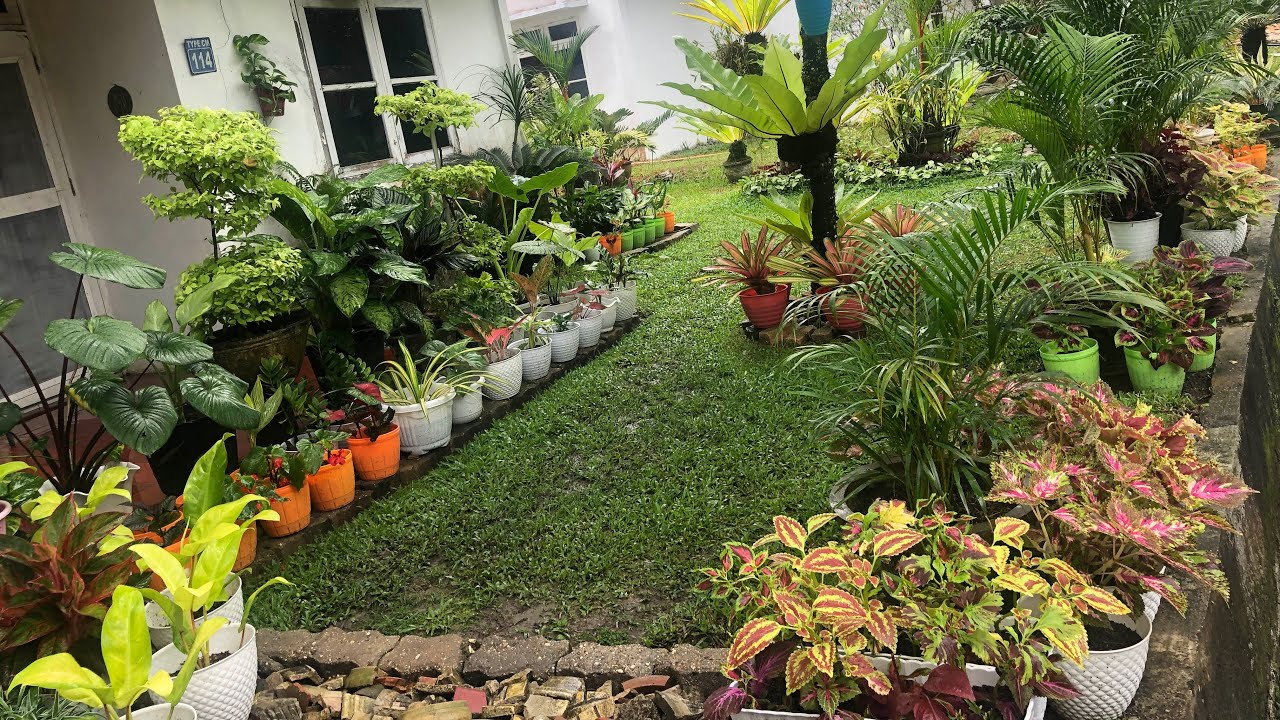 Cara Menata Taman Depan Rumah - KibrisPDR