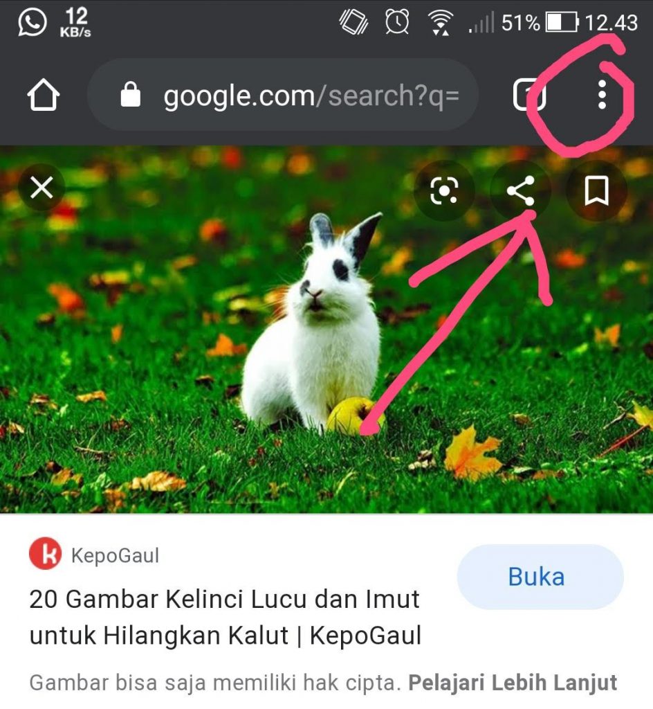 Detail Cara Mendownload Foto Dari Google Ke Galeri Nomer 17