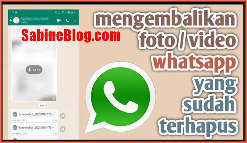 Detail Cara Mendownload Foto Di Wa Yang Sudah Terhapus Nomer 27