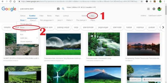 Detail Cara Mendownload Gambar Di Google Dengan Resolusi Tinggi Nomer 11