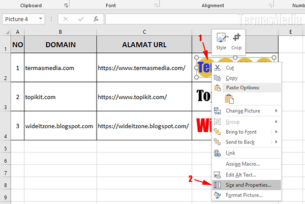 Detail Cara Menempel Foto Di Excel Nomer 15