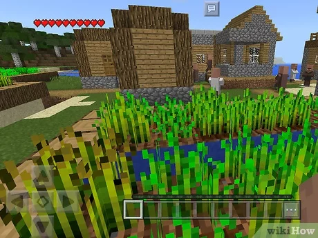Detail Cara Menemukan Rumah Penduduk Di Minecraft Nomer 8
