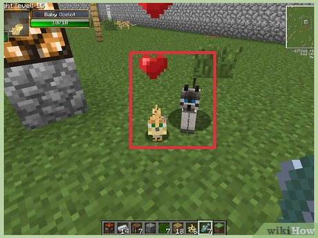 Detail Cara Menemukan Rumah Witch Di Minecraft Nomer 47