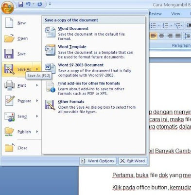 Detail Cara Mengambil Foto Dari Microsoft Word Nomer 22