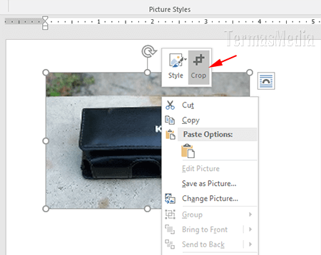 Detail Cara Mengambil Foto Dari Microsoft Word Nomer 39