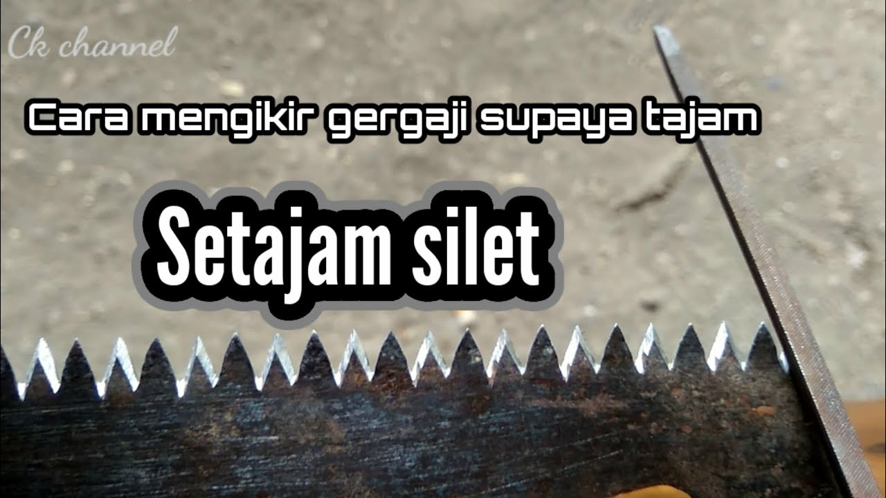 Detail Cara Mengasah Gergaji Kayu Nomer 2