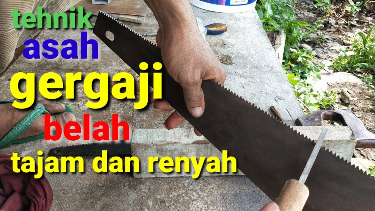 Detail Cara Mengasah Gergaji Kayu Nomer 12