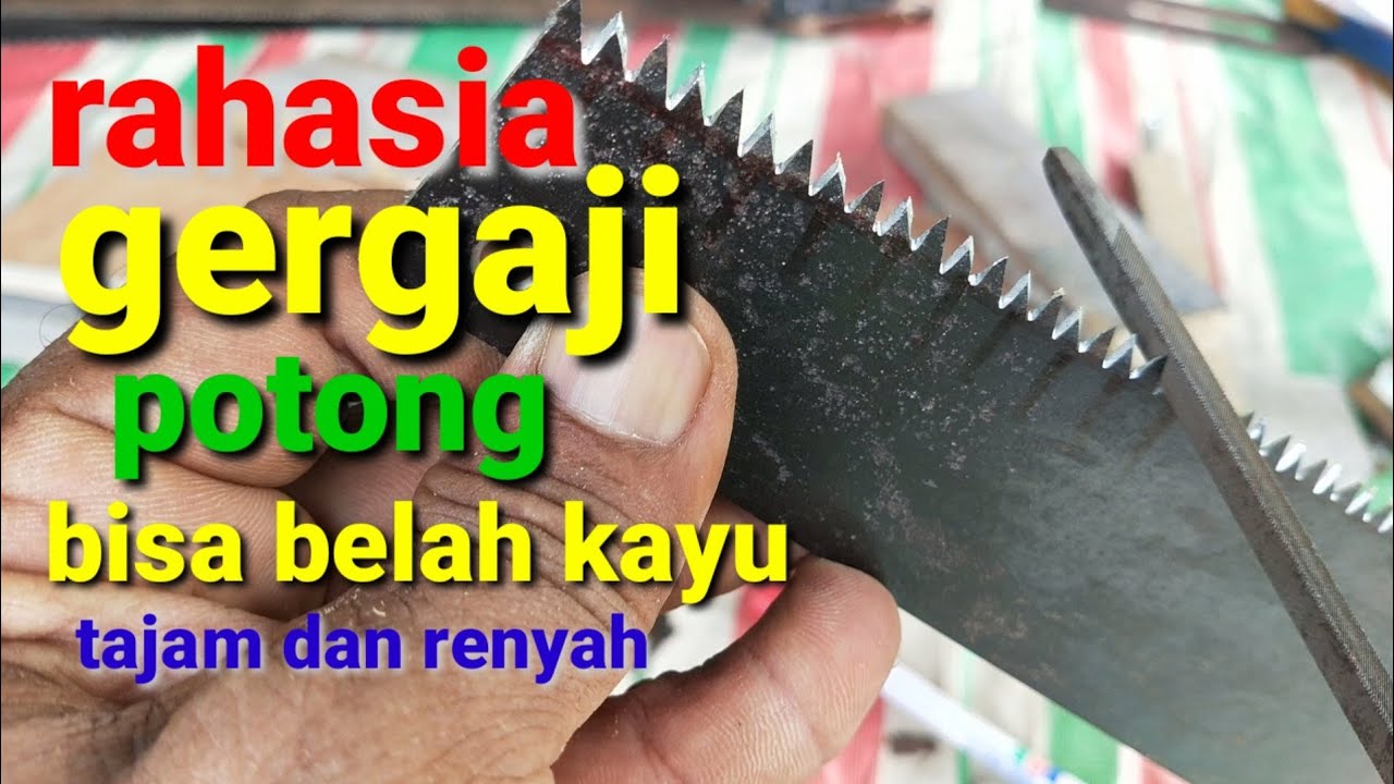 Detail Cara Mengasah Gergaji Potong Dan Belah Nomer 10