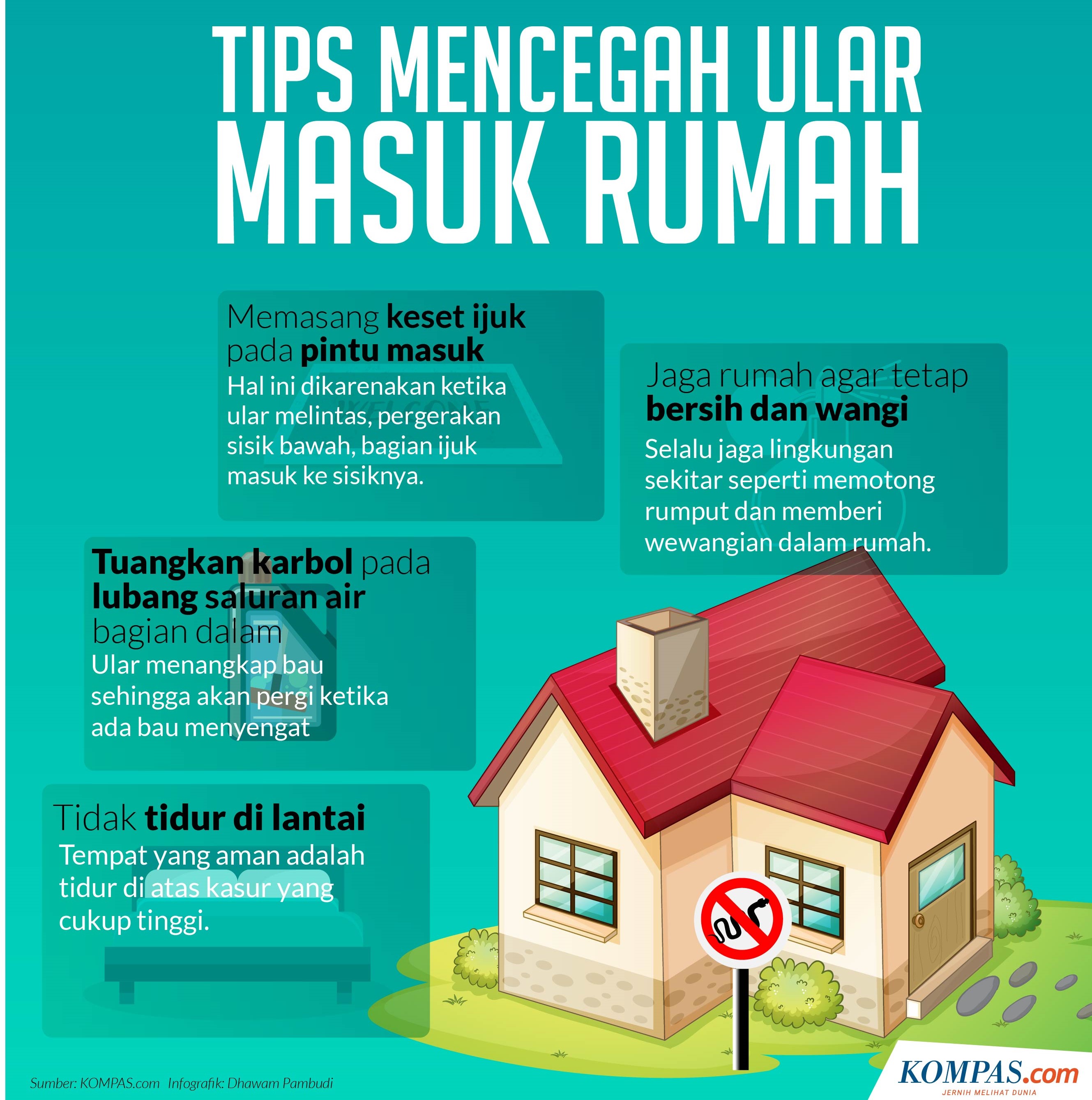 Cara Mengatasi Ular Masuk Rumah - KibrisPDR