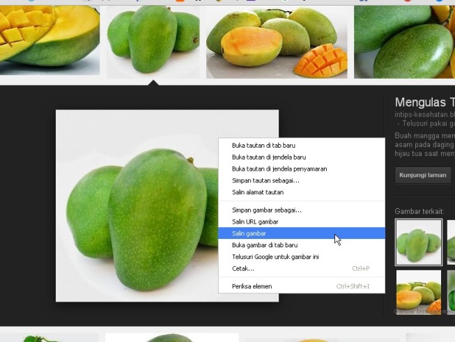 Detail Cara Mengcopy Gambar Dari Google Ke Word Nomer 21