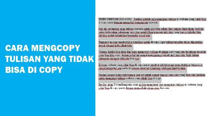 Detail Cara Mengcopy Teks Dari Foto Nomer 26