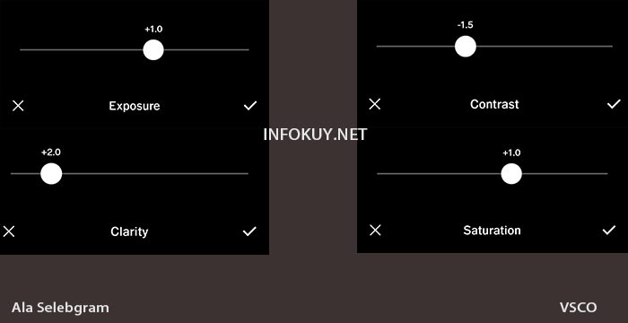 Detail Cara Mengedit Foto Ala Selebgram Di Vsco Nomer 47