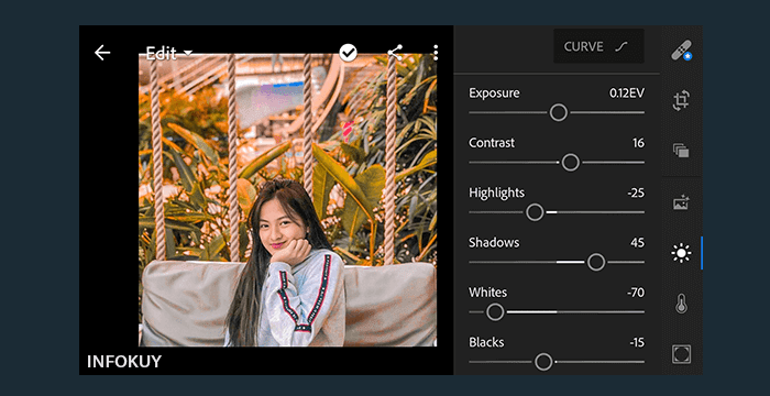 Detail Cara Mengedit Foto Dengan Lightroom Di Hp Nomer 11