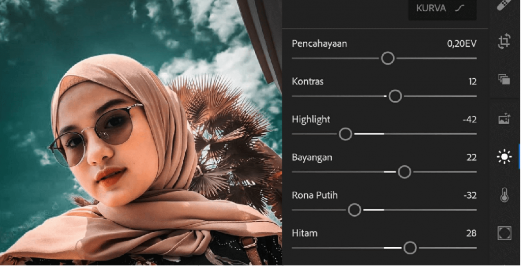 Detail Cara Mengedit Foto Dengan Lightroom Di Hp Nomer 3