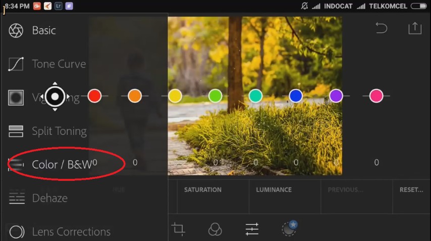 Detail Cara Mengedit Foto Dengan Lightroom Di Hp Nomer 43