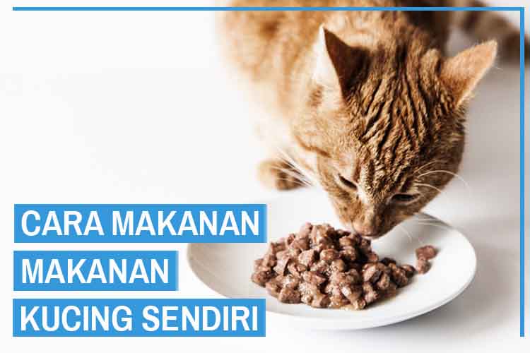 Detail Cara Mengedit Foto Makanan Nomer 36