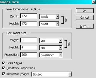 Detail Cara Mengedit Ukuran Foto Nomer 34