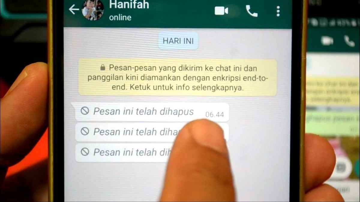 Detail Cara Mengembalikan Foto Di Wa Yang Terhapus Nomer 33