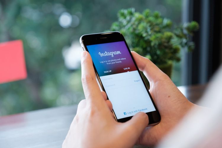 Detail Cara Mengembalikan Foto Yang Dihapus Di Instagram Nomer 47