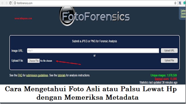 Detail Cara Mengetahui Foto Asli Atau Palsu Lewat Hp Nomer 5