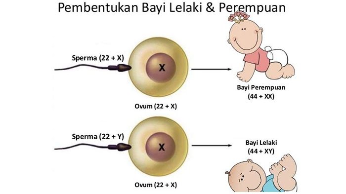 Detail Cara Menggambar Anak Laki Laki Nomer 37