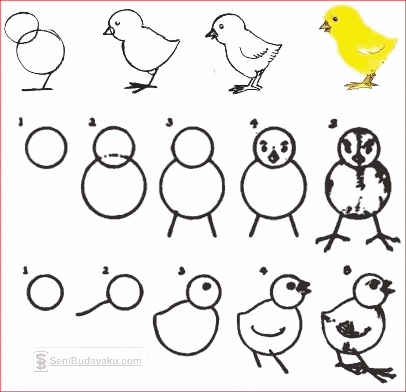 Detail Cara Menggambar Ayam Yang Mudah Nomer 9