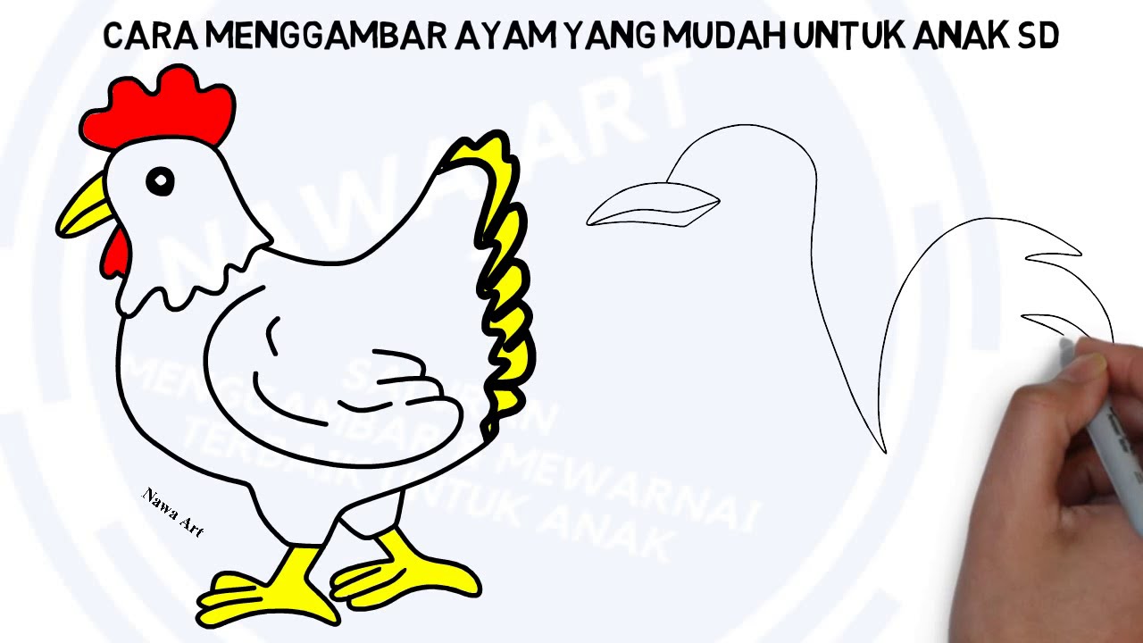 Detail Cara Menggambar Ayam Yang Mudah Nomer 10