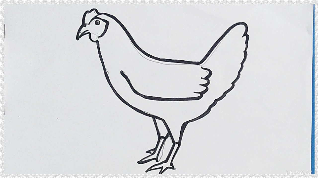 Detail Cara Menggambar Ayam Yang Mudah Nomer 4