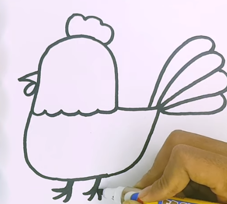 Detail Cara Menggambar Ayam Yang Mudah Nomer 37
