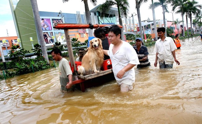 Detail Cara Menggambar Banjir Nomer 43