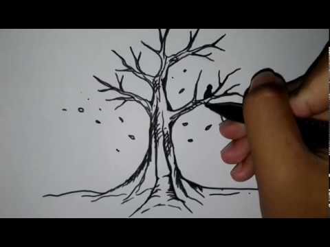 Cara Menggambar Batang Pohon - KibrisPDR