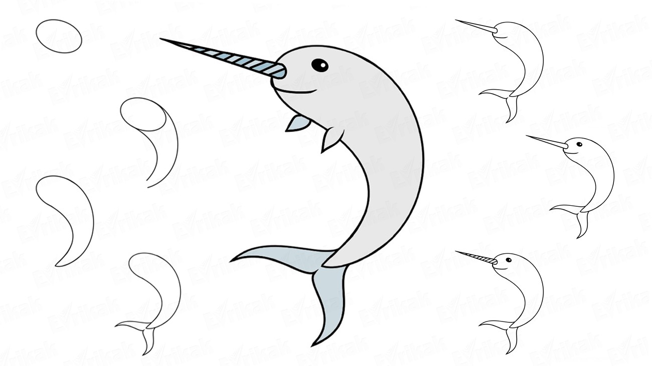 Detail Cara Menggambar Binatang Laut Nomer 42