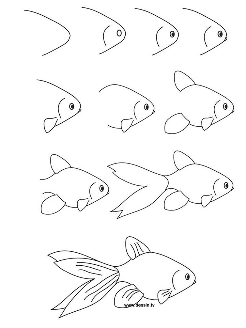 Detail Cara Menggambar Binatang Laut Nomer 10