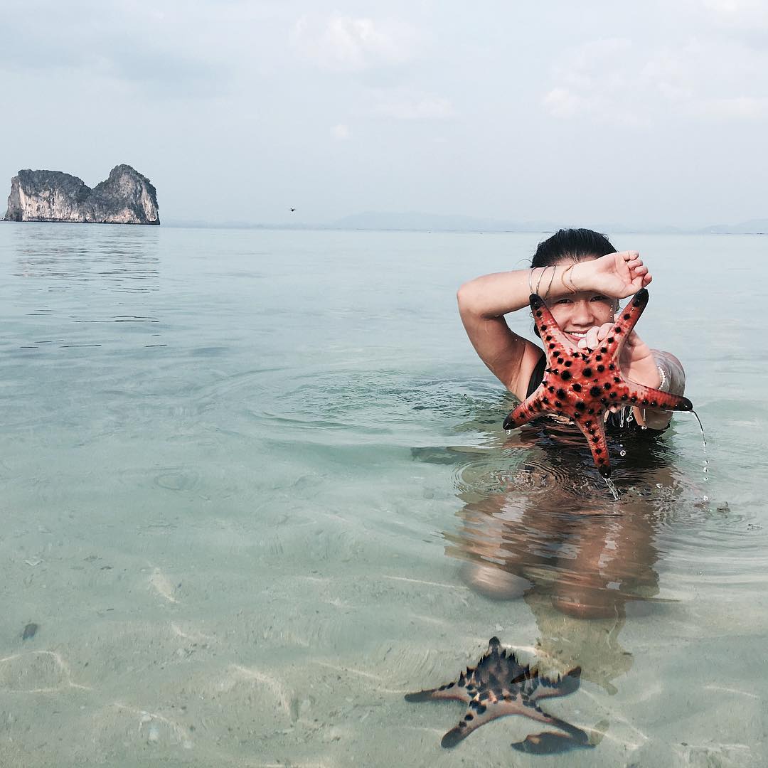 Detail Cara Menggambar Bintang Laut Nomer 33