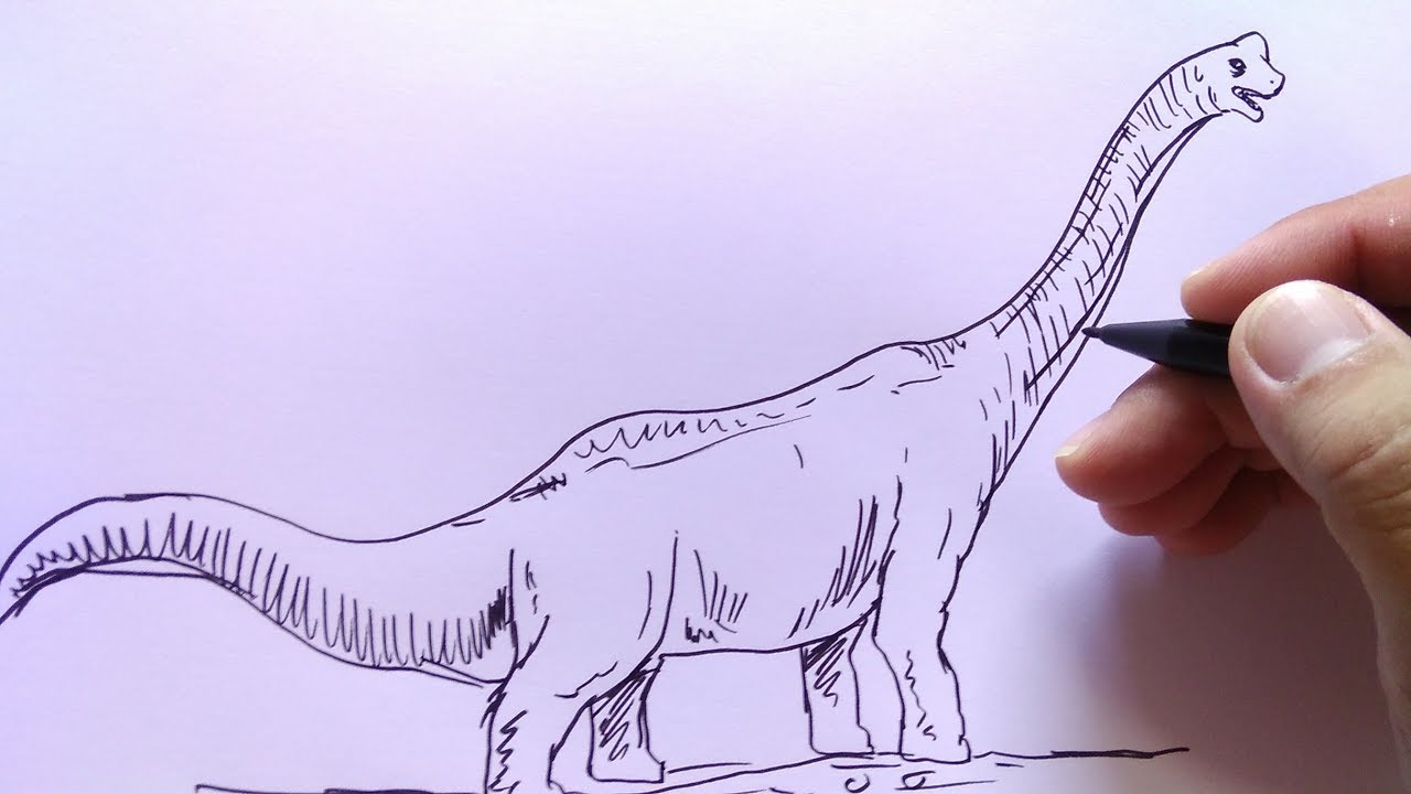 Detail Cara Menggambar Brontosaurus Nomer 2