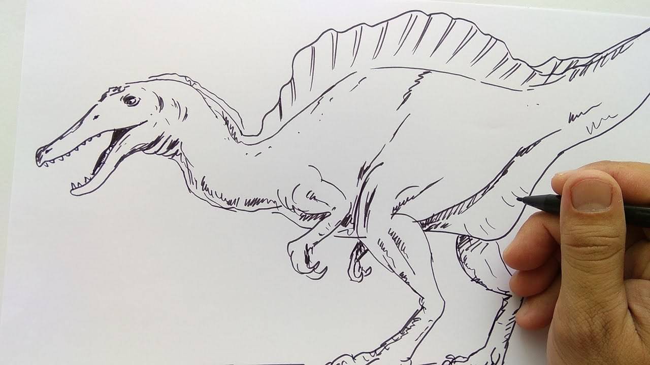 Detail Cara Menggambar Brontosaurus Nomer 11