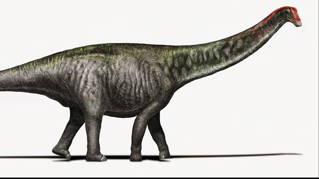 Detail Cara Menggambar Brontosaurus Nomer 21