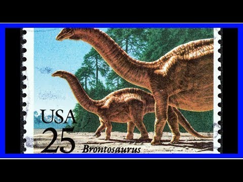 Detail Cara Menggambar Brontosaurus Nomer 29