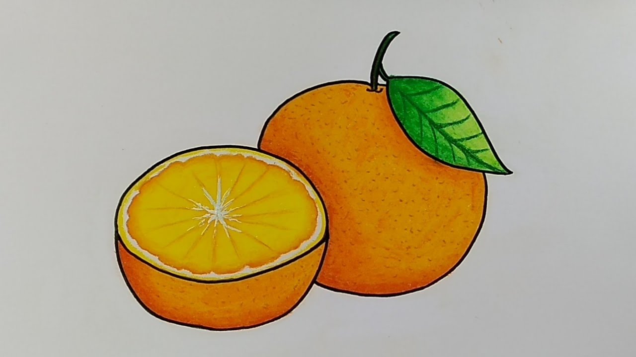 Detail Cara Menggambar Buah Jeruk Nomer 4