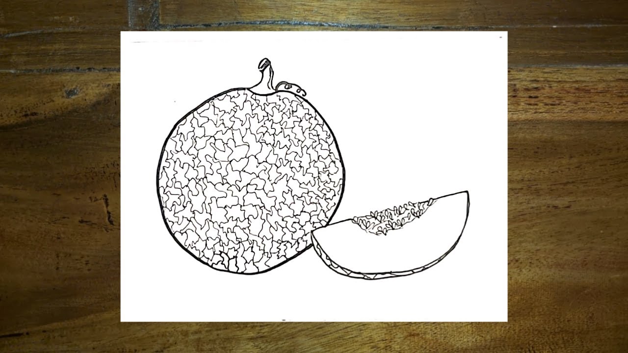 Detail Cara Menggambar Buah Melon Nomer 3