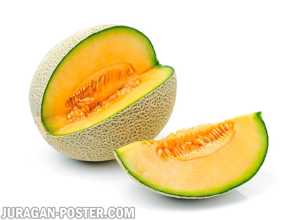 Detail Cara Menggambar Buah Melon Nomer 18