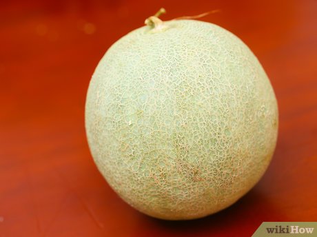 Detail Cara Menggambar Buah Melon Nomer 31