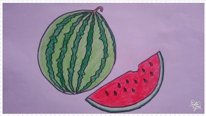 Detail Cara Menggambar Buah Melon Nomer 36